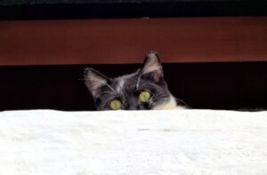 Photo Creating Suspense