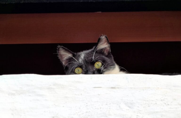 The Art of Building Suspense in Storytelling