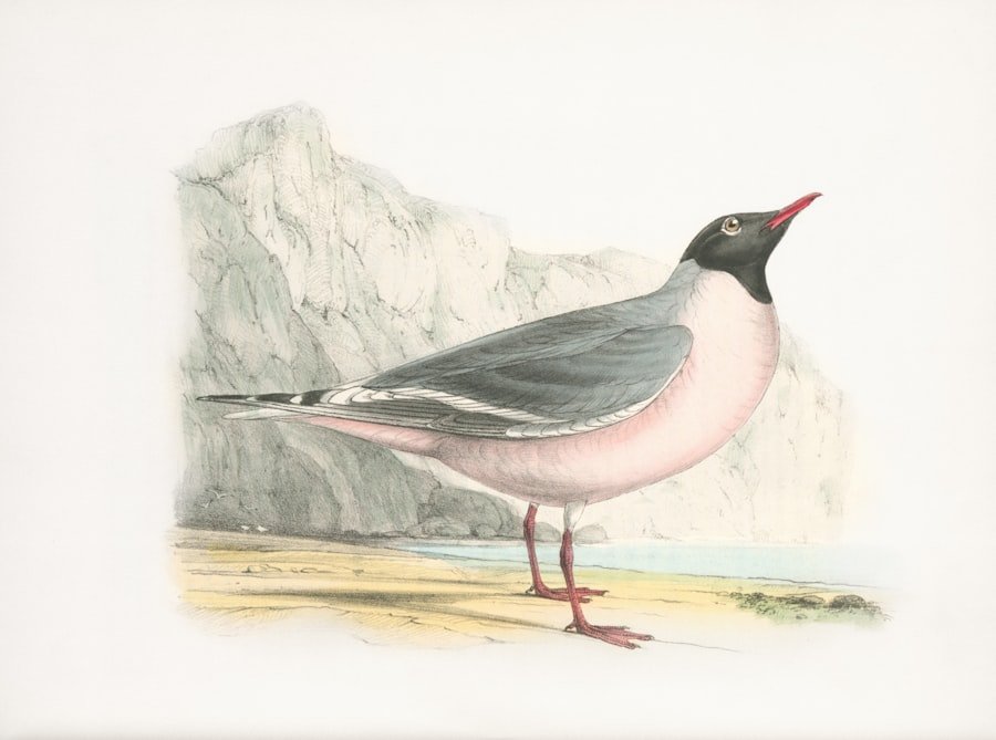 Photo History Research Assignment