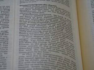 Photo interpret terms and conditions