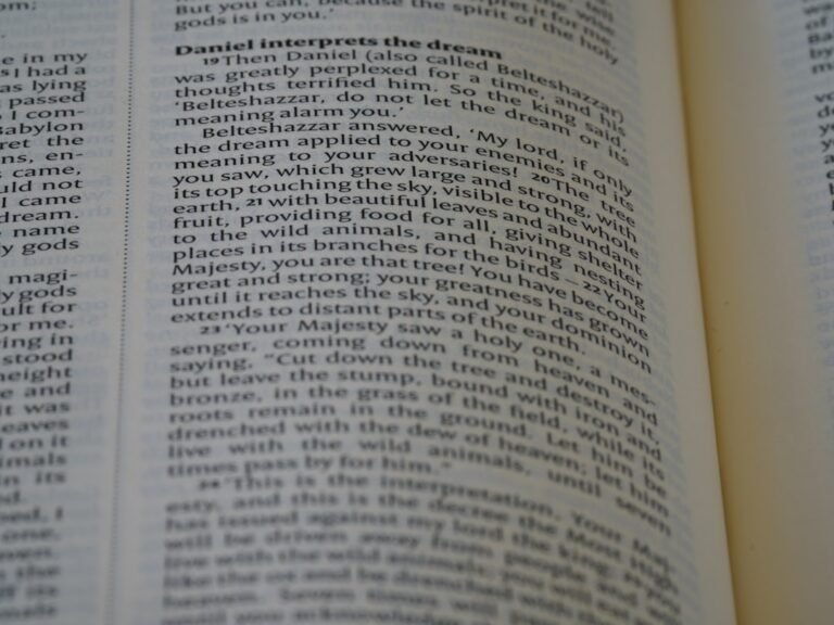 Deciphering Terms and Conditions in Agreements