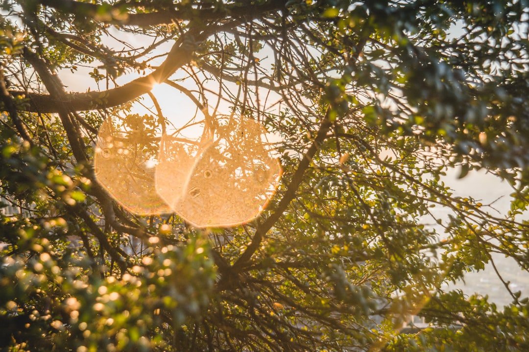 Photo natural lighting